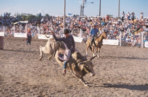 rodeowedstrijd in Florida City | Florida City